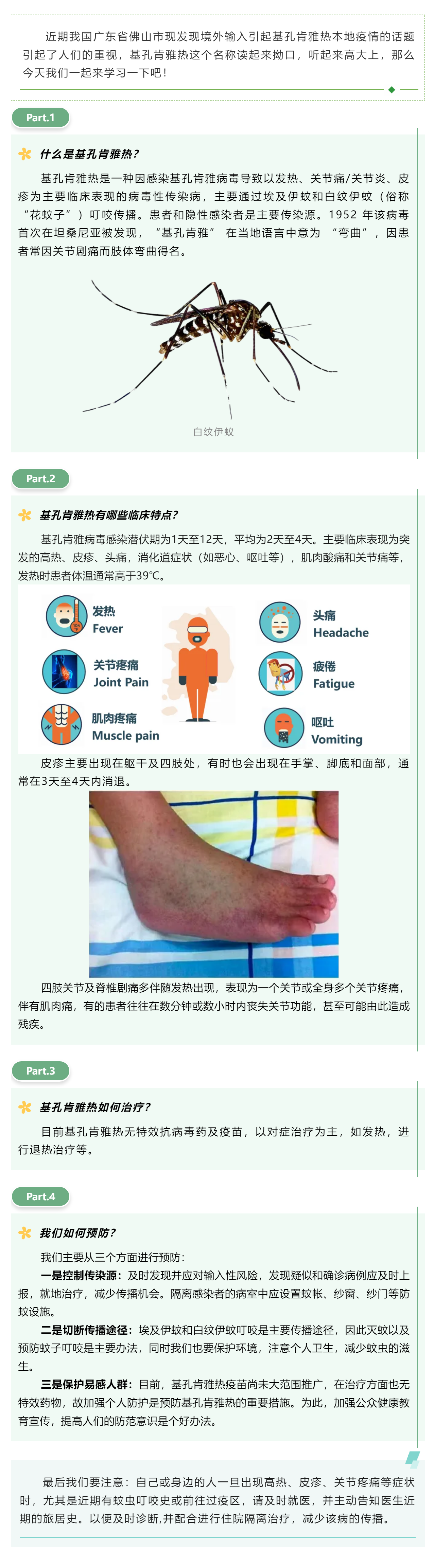 基孔肯雅熱，你讀“順”了嗎？.png